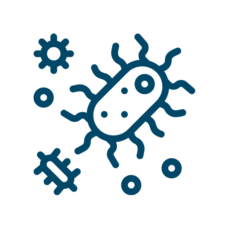 Desinfestation Icon